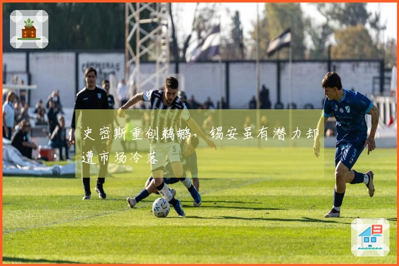 史密斯重创鹈鹕，锡安虽有潜力却遭市场冷落