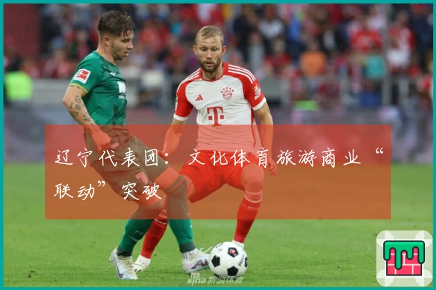 辽宁代表团：文化体育旅游商业“联动”突破